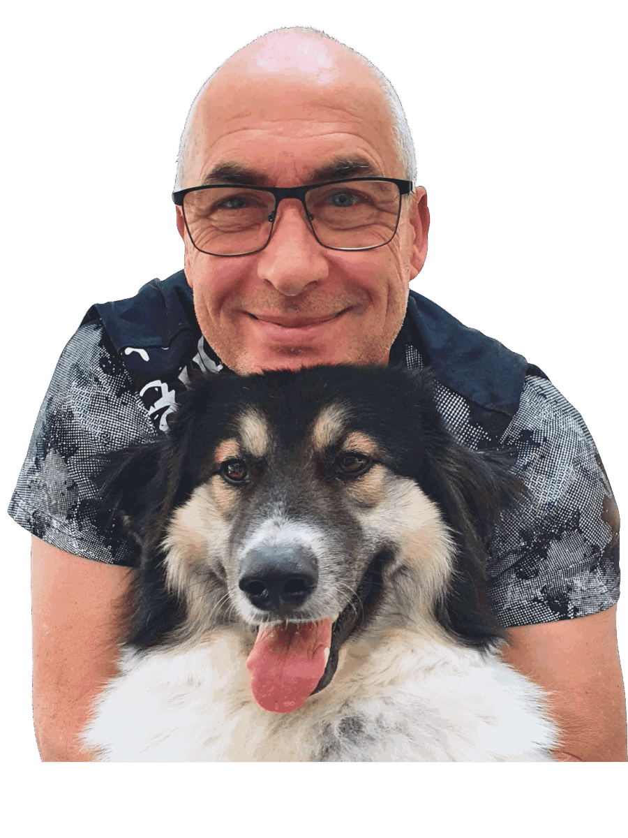 Fenster mit Nähmaschinen, Reparatur und Service für Nähmaschinen, Fachmann in der Nähe, professionelle Nähmaschinenwartung.